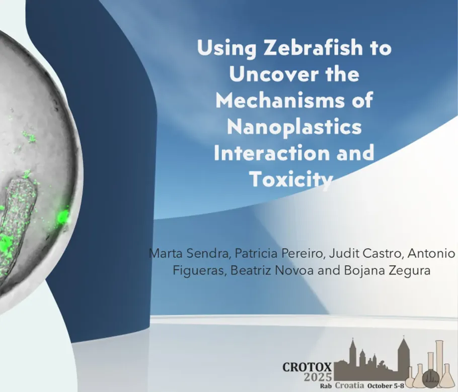 CROTOX 2025 presentation: Using zebrafish to uncover the mechanisms of nanoplastics interaction and toxicity